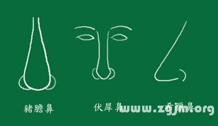 峰生水起面相學：第11課 鼻子看相_看相大全