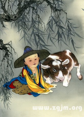 生肖牛的開運水果_十二生肖