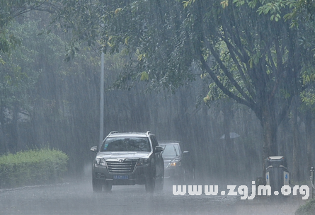 夢見大雨