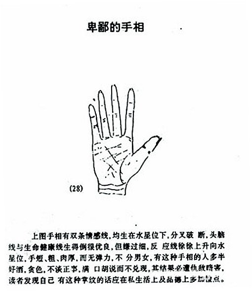 卑鄙的手相圖解