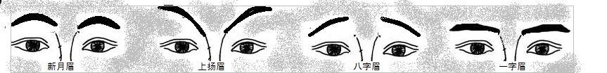 眉毛