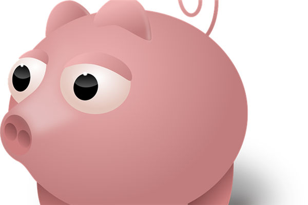 生肖豬出生的年份是什麼_十二生肖