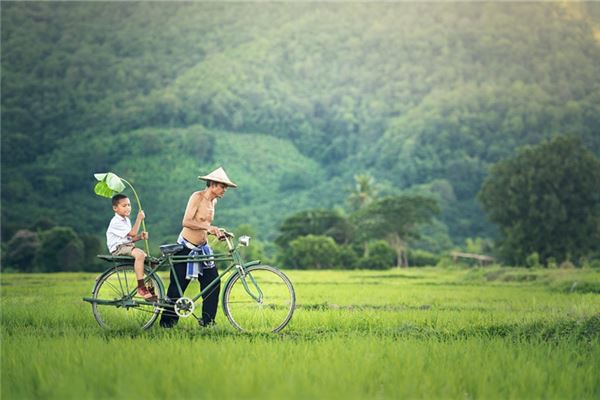 夢到兒子丟了又找到代表著什麼？_周公解夢
