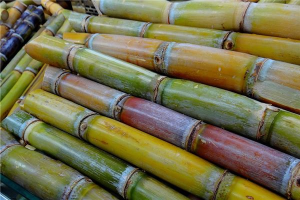 夢見很多甘蔗_周公解夢