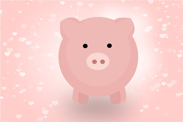 2019年幾月出生屬豬的最好_十二生肖