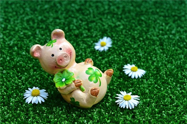 夢到扯豬草會是什麼預兆_周公解夢