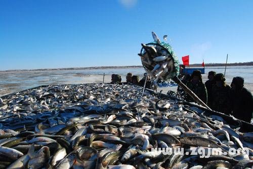 夢見出海捕魚