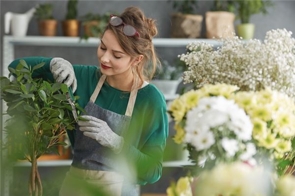 夢見做生意生意很好_周公解夢