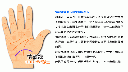 手相圖解大全：12、各類掌紋支線_看相大全