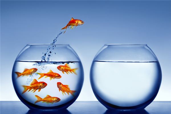 夢到金魚在水裡游_周公解夢