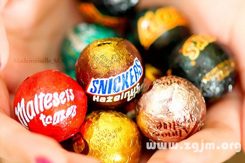 職場親歷親行的12星座_十二星座