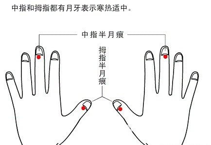 半月痕觀健康圖解6