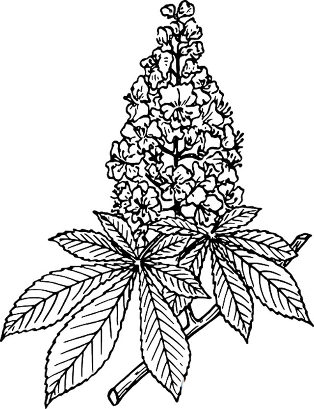 夢見狗生狗_周公解夢夢到狗生狗是什麼意思_做夢夢見狗生狗好不好_周公解夢官網