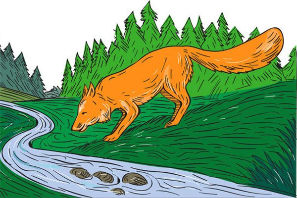 夢見火狐狸_周公解夢