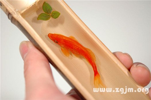 擅長避開職場黑洞的星座高手_十二星座