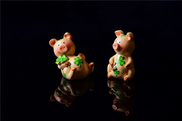 屬豬的人2021年歲數有多大_十二生肖