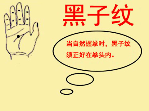 手相公印紋圖解