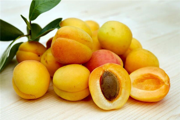 夢見杏生男孩還是女孩_周公解夢