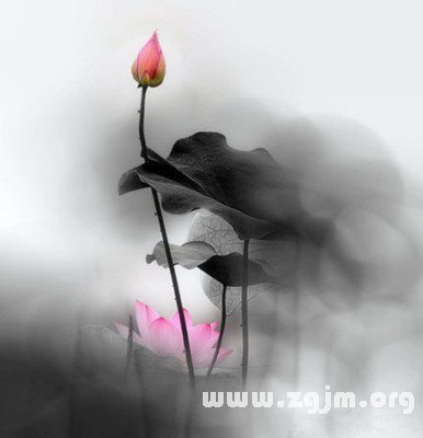 獅子座的愛情弱勢_十二星座