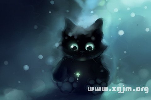 夢見黑貓