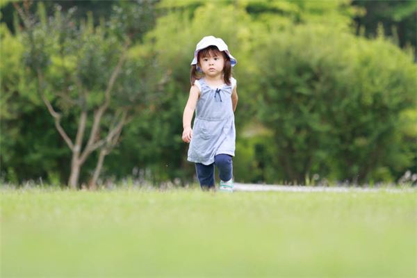 2016年生人運勢和運程_十二生肖