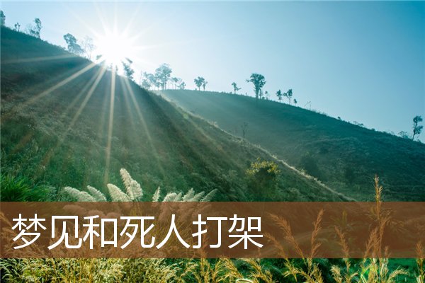 夢見和死人打架_周公解夢