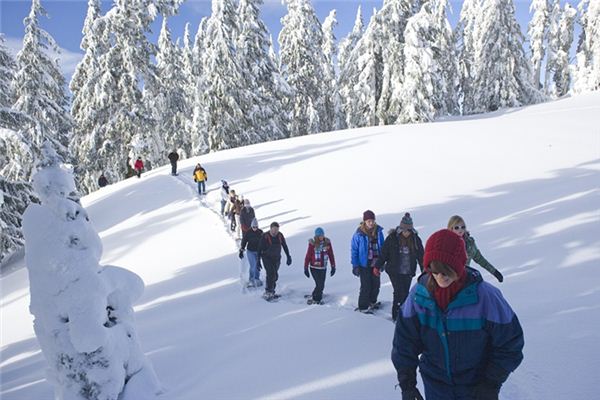 夢見雪地里走路_周公解夢