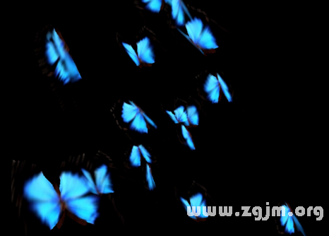 夢見藍色蝴蝶