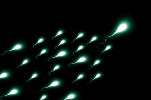 女人夢見精子_周公解夢