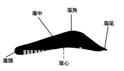 眉毛算命圖解