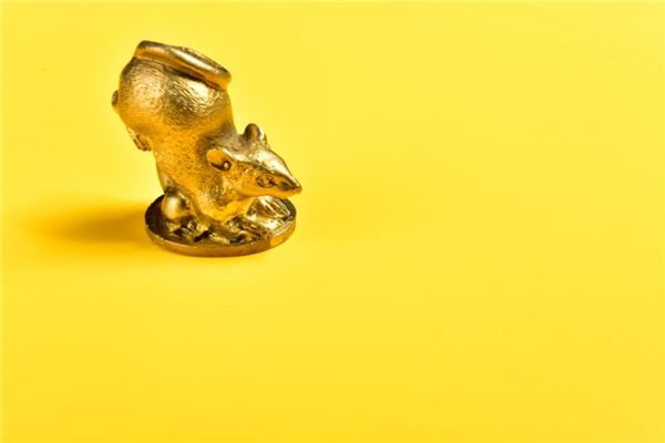 夢見蛇鼠一窩_周公解夢