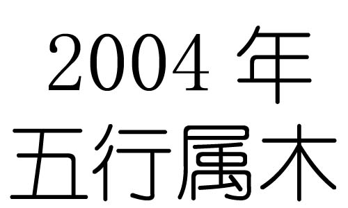 2004年五行屬什麼？2004年出生是什麼命？