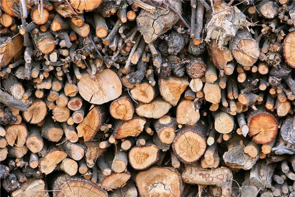 夢見柴火棍好不好_周公解夢