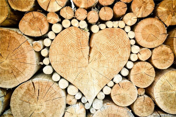 夢見柴堆是什麼意思啊_周公解夢