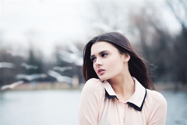 72年2020年運勢及運程_十二生肖