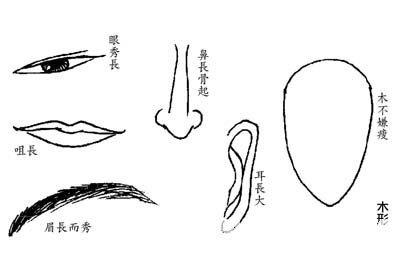 木形臉臉型分析