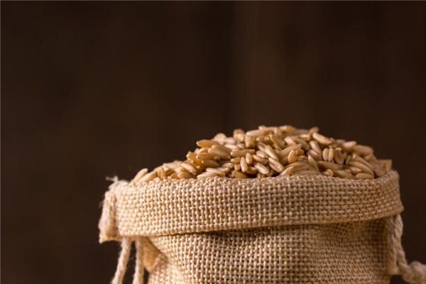 夢見麥粒成堆_周公解夢