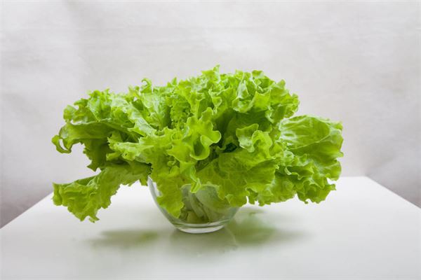 夢見拔苦菜是啥意思_周公解夢