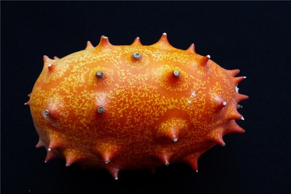 夢到打瓜是凶兆還是吉兆_周公解夢