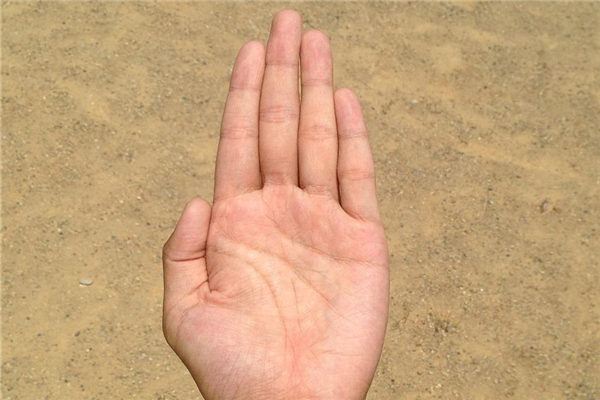 夢到了左手是什麼兆頭_周公解夢