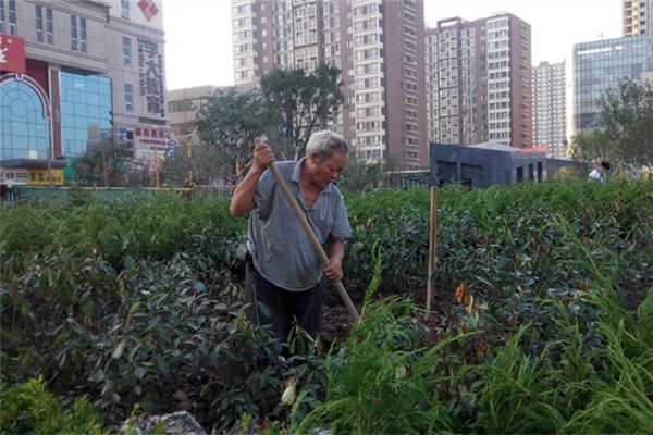突然夢見已故的熟人_周公解夢