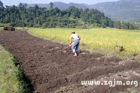 夢見挖地