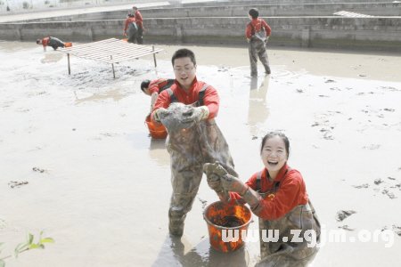 夢見抓甲魚