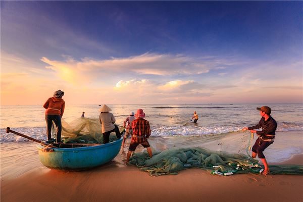 做夢撈魚撈到很多魚_周公解夢