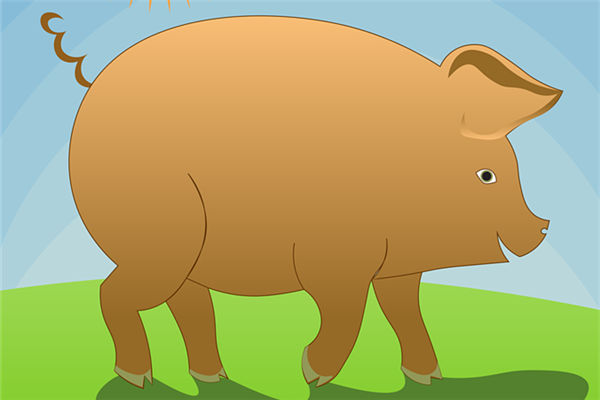 1983年8月出生屬豬人好不好_十二生肖