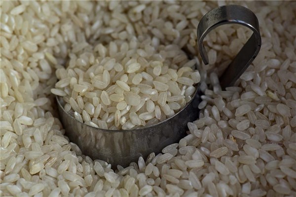 夢見米里有蟲子是什麼預兆_周公解夢