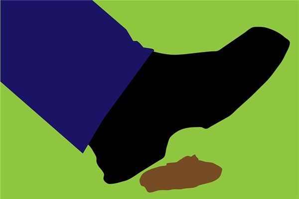 夢到了踩著大便會怎麼樣_周公解夢