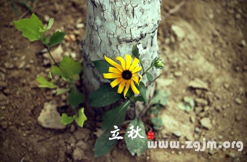 2014年立秋時間，今年幾點立秋：8月7日22:02分