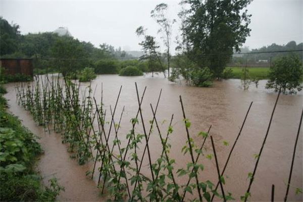 夢見暴風雨淹沒田地_周公解夢