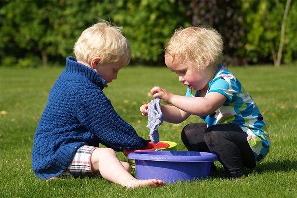 夢到了覆盆子有什麼含義_周公解夢